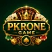 PkrOne Game