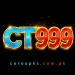 CT999 Game